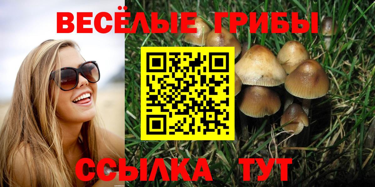 Галлюциногенные грибы мицелий  Вход с VPN  где купить наркоту  Ивантеевка 