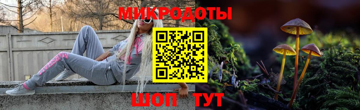 Псилоцибиновые грибы Psilocybe Ивантеевка
